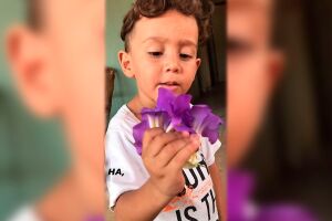 Fam&iacute;lia de crian&ccedil;a atropelada por carreta no Centro Oeste faz vaquinha para vel&oacute;rio 