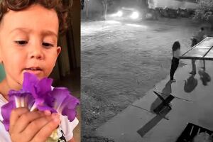 C&acirc;mera flagrou caminh&atilde;o atropelando crian&ccedil;a no Centro-Oeste: 'j&aacute; tinha avisado sobre perigo' (v&iacute;deo)