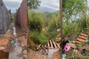 Matagal indigna moradora por descaso da prefeitura 