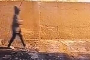 Mulher acusada de matar homem carbonizado em Dourados nega acusa&ccedil;&otilde;es: 'jaqueta dessa tem aos montes'