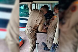 Trabalhador rural leva chifrada de touro e &eacute; socorrido em estado grave em fazenda do Pantanal