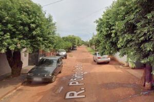 Veterin&aacute;ria respons&aacute;vel por ONG resgata cadela v&iacute;tima de maus-tratos em Jardim 