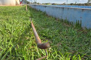 Colombiano leva golpe de barra de ferro na cabe&ccedil;a em Campo Grande