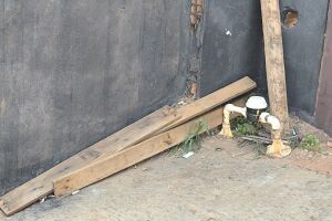 Homem amea&ccedil;a matar vizinho e leva paulada na cabe&ccedil;a em Miranda