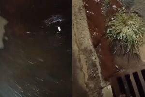 Vazamento de &aacute;gua preocupa moradores h&aacute; 3 semanas no Nova Lima: 'estou indignada' (v&iacute;deo)