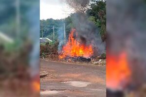 Moradores decidem atear fogo em matagal sem limpeza no Santo Amaro (v&iacute;deo) 