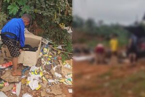 Grupo abandona filhotes de cachorro em 'lix&atilde;o' do Tarum&atilde;: 'infelizmente &eacute; comum' (v&iacute;deo)