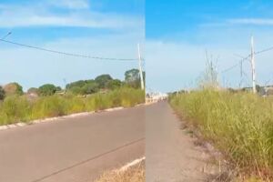 Falta de manuten&ccedil;&atilde;o no canteiro da avenida da Pra&ccedil;a do Papa preocupa por conta do mato alto (v&iacute;deo)