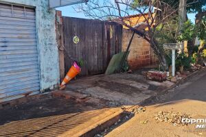 Pitbull invade casa e ataca idosa de 75 anos na Vila Marli; tutor foi preso