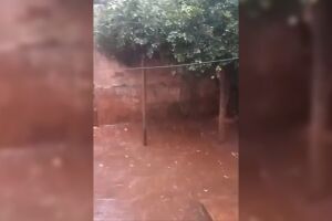Chuva veio de forma moderada 
