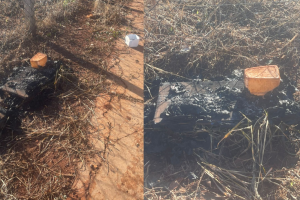 Decat instaura inqu&eacute;rito para investigar inc&ecirc;ndio em abrigos de gatos comunit&aacute;rios em Campo Grande