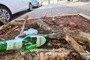 Motorista b&ecirc;bado se assusta com Lei Seca e bate em caminhonete estacionada no Piratininga