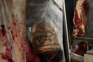 Prote&iacute;na a mais? Batida encontra mosca e carnes no ch&atilde;o em a&ccedil;ougue no Buriti