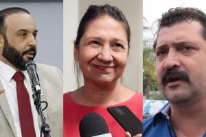 Maioria quer ser deputado estadual 