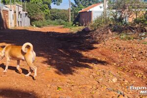 A solu&ccedil;&atilde;o para quem tem carro na Iracy Velasquez &eacute; fazer manobras para desviar de buraco (v&iacute;deo)
