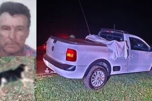 Homem morre atropelado junto com cachorro na MS-156, em Itapor&atilde;