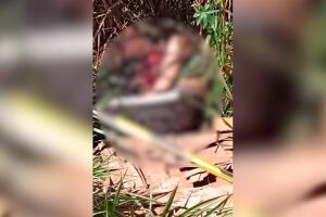 Mulher &eacute; decapitada e abandonada em estrada da fronteira (v&iacute;deo)