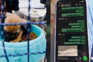 Imagem Ilustrativa/Conversa entre tutora e pet shop cedida ao TopM&iacute;diaNews