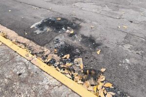 Moto &eacute; encontrada incendiada e pol&iacute;cia investiga envolvimento com execu&ccedil;&atilde;o no Novos Estados
