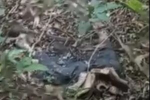 Mulher encontra corpo em avan&ccedil;ado estado de decomposi&ccedil;&atilde;o em Ponta Por&atilde; 