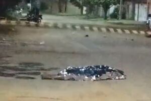 Jovem &eacute; morto a pauladas e pedradas no Centro Oeste (v&iacute;deo) 