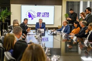 Riedel citou grande investimento privado