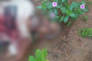Homem encontrado morto em quintal teria fugido de atiradores no Nova Lima (v&iacute;deo)