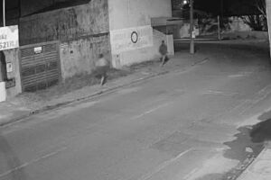 A v&iacute;tima fugiu correndo