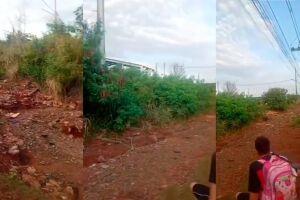 Pode chamar de rua? Buraco e matagal tomam conta de rua e revoltam moradores do Itamarac&aacute; (v&iacute;deo)