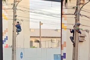 Homem escala poste e corta fios para furtar em Campo Grande (v&iacute;deo)