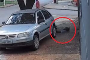 C&acirc;mera de seguran&ccedil;a registra briga que terminou em morte em Dourados (v&iacute;deo) 