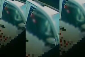 Homem se masturba durante o dia e &eacute; flagrado em avenida de &Aacute;gua Clara (v&iacute;deo) 