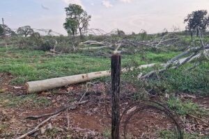 Trabalhador morre ao levar choque em cerca energizada por fio de alta tens&atilde;o no Carioca (v&iacute;deo)
