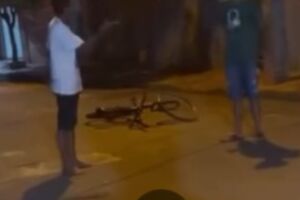Homem agride a esposa e &eacute; esfaqueado pelo sobrinho em Anauril&acirc;ndia (v&iacute;deo)