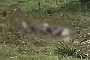 Homem &eacute; morto a facadas e tem corpo queimado em Itaquira&iacute;