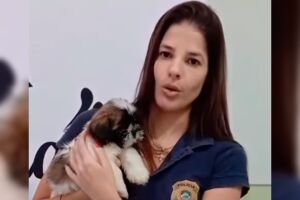 Mulher &eacute; presa por maus-tratos contra cachorrinha em Aquidauana (v&iacute;deos)