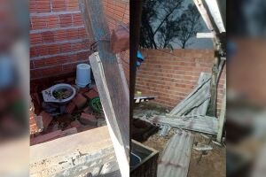 Galho de &aacute;rvore atinge muro e casa desmorona durante tempestade no Centro Oeste (v&iacute;deo)