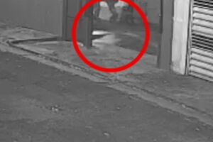 Tutor &eacute; denunciado por judiar de cachorro no Aero Rancho (v&iacute;deo)
