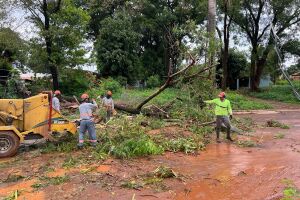 Publica&ccedil;&atilde;o omite detalhes de suspens&atilde;o 