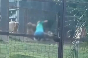 Cachorro morre em suposta briga e mulher aparece em v&iacute;deo batendo no animal em Bonito (v&iacute;deo)