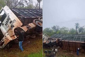 Caminh&atilde;o de bois tomba e lataria &eacute; serrada para remover animais na MS-384 (v&iacute;deo) 