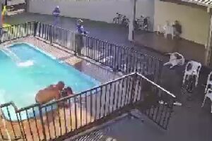 C&acirc;mera flagrou homem sendo executado em piscina no Tarum&atilde; (v&iacute;deo)