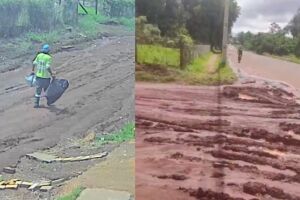 Caminh&atilde;o da Solurb n&atilde;o consegue subir rua e coleta de lixo &eacute; feita a p&eacute; no Bosque das Araras (v&iacute;deo)