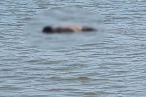 Corpo de homem &eacute; encontrado boiando na Lagoa Maior em Tr&ecirc;s Lagoas