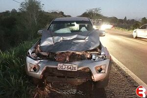 Ex-deputado atropela vaca em rodovia e sai ileso de acidente