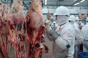 Frigoríficos são investigados por uso de produtos impróprios para consumo na carne