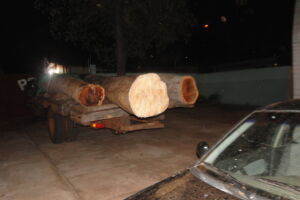 PMA apreende carga de madeira ilegal