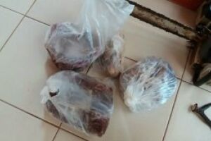 Caçador é flagrado com carnes de animais silvestres e chifre de veado