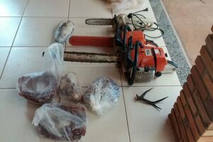 PMA autua em R$ 11 mil caçador com carne de cateto, capivara e chifres de veado