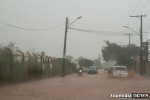 Chuva forte causa estragos na Capital; árvore cai sobre veículo e destelha casa na região do Lageado